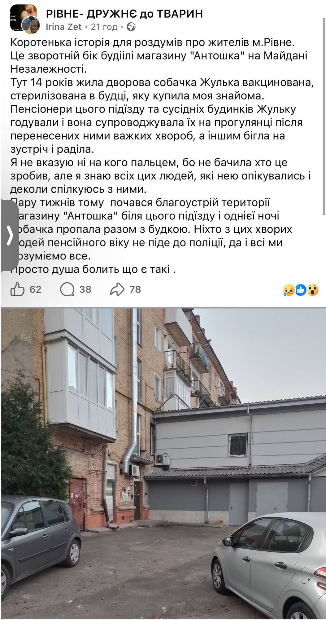 В Ровно пропала 14-летняя собака Жулька: животное пропало вместе с будкой