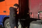 159 пачек без акцизных марок: в »Шегинях» пресекли попытку незаконного вывоза табачных изделий