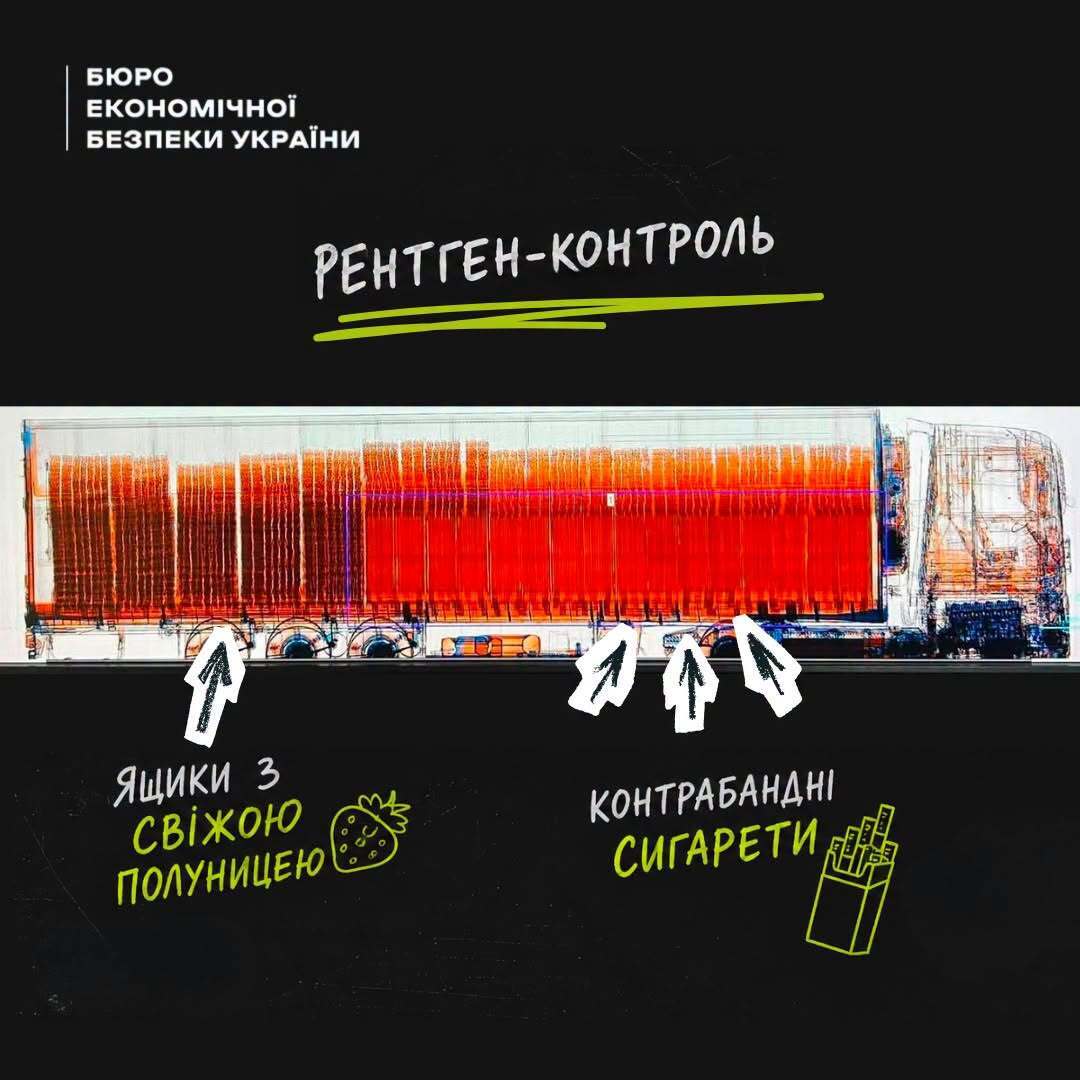 360 тысяч пачек сигарет спрятали под клубникой: суд вынес приговор гражданину Молдовы