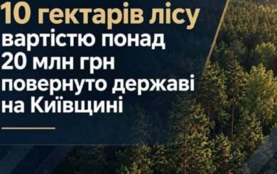 На Київщині державі повернули 10 гектарів лісу вартістю понад 20 млн грн: чому розірвали договори