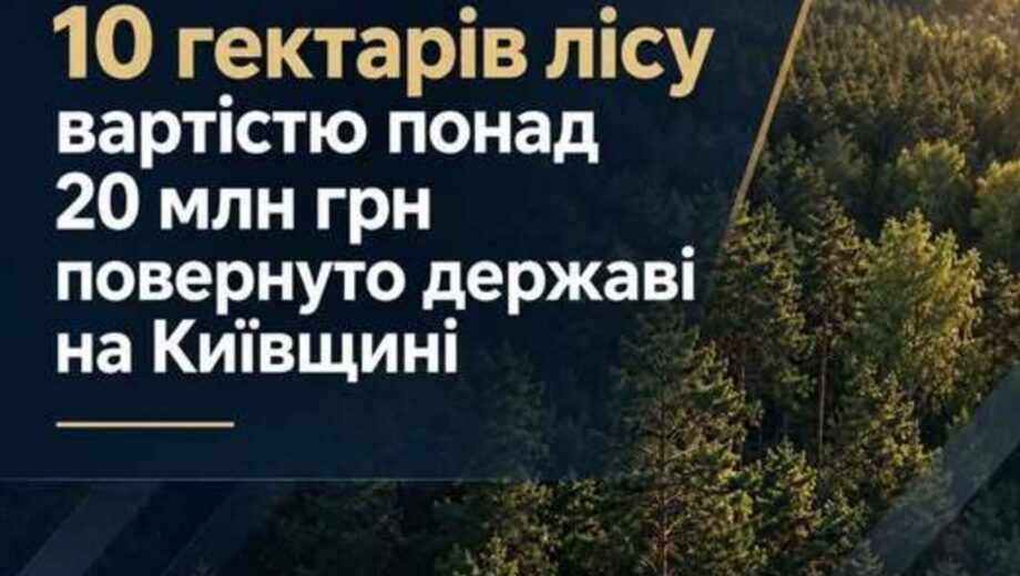 На Київщині державі повернули 10 гектарів лісу вартістю понад 20 млн грн: чому розірвали договори