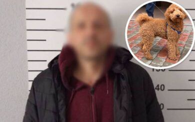 Бил ногой и тянул за ошейник: в Киеве 47-летнего мужчину подозревают в жестоком обращении со щенком
