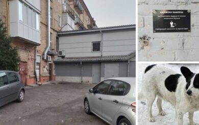 Пропала вместе с будкой: в Ровно ищут 14-летнюю дворовую собаку Жульку