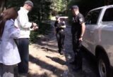 Після відкриття кримінального провадження журналісти передадуть поліції відео про забудову в Карпатському НПП