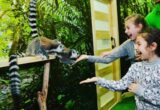 Что известно о последствиях атаки на Cosmo Multimall — удел зоопарка »Зверополис»