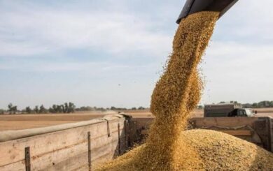 Україна просить ЄС допомогти з експортом зерна, але Польща та Румунія кажуть: можливості вичерпані