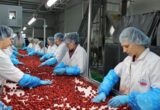 Зарплаты до 160 тысяч гривен: в каких специалистах больше всего нуждаются работодатели в Украине