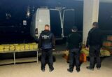 Более 650 кг растительного вещества везли через границу: находку обнаружили в пункте пропуска »Тиса»