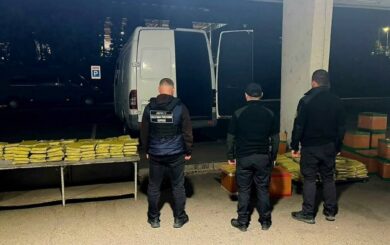 Более 650 кг растительного вещества везли через границу: находку обнаружили в пункте пропуска »Тиса»