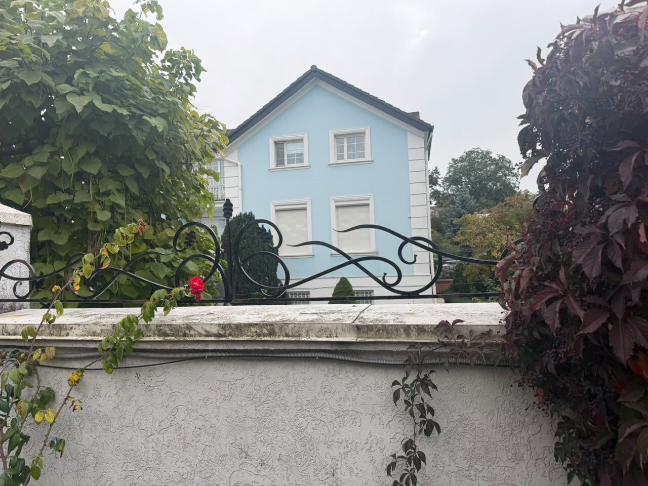 Маєток за парканом, ''офіс'' у промзоні: чи відповість екснардеп Пилипишин на незручні питання щодо його статків і бізнесу?