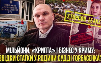 Миллионное состояние, элитная недвижимость и родственные связи: что известно о финансовых активах судьи Павла Горбасенко?