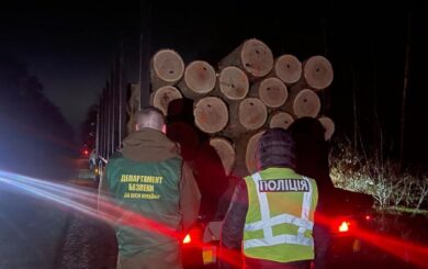 Теневая продажа древесины на 8,6 млн грн: в суд передали дело 13 обвиняемых