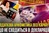 ”Карфаген” і податкова арифметика Лесі Карнаух: обшуки, сімейні мільйони та майно поза межами декларації?